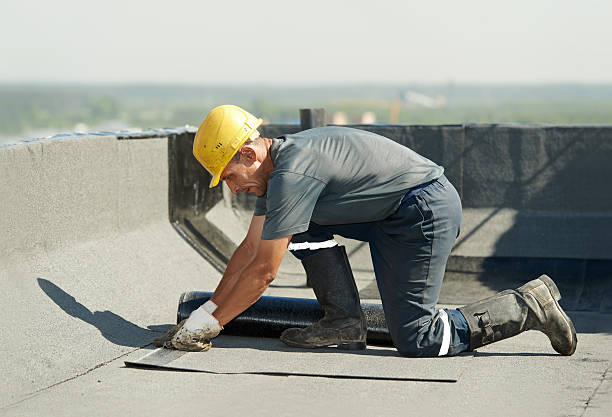 Best Specialized Insulation Services in Moonachie, NJ
